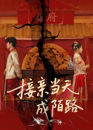 接亲当天成陌路（50集）短剧免费分享