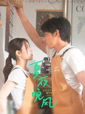 夏夜晚风（12集）一口气看完