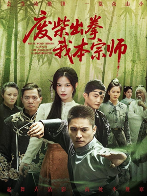 废柴出拳我本宗师（61集）集免费看短剧