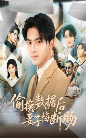 偷换数据后妻子悔断肠（63集）免费观看