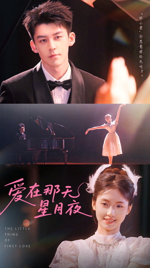 爱在那天星月夜（46集）好看的短剧