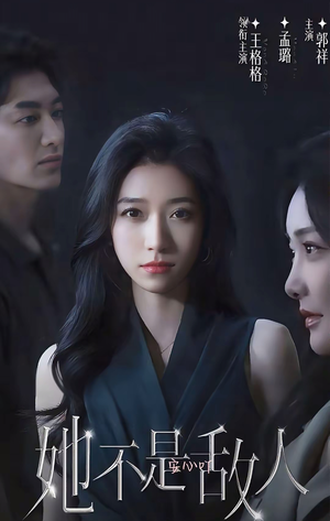 她不是敌人（18集全）温柔追捕短剧