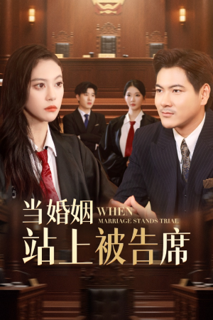 当婚姻站上被告席（30集）精彩短剧热播