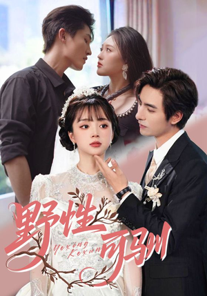 野性可驯（63集）热播短剧来袭