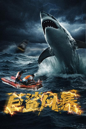 巨鲨风暴（59集）全集免费观看