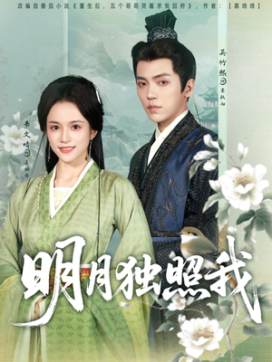 明月独照我（80集）一口气追完全集