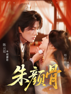 朱颜骨（73集）80到100集