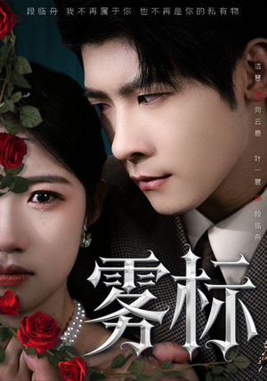 雾标（70集）让你一口气看完