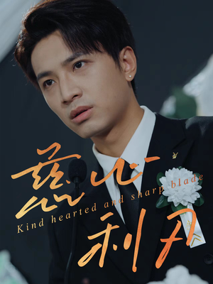 慈心利刃（30集）女主角是谁