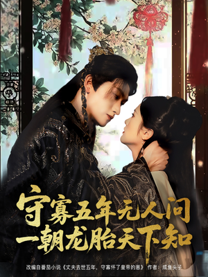 守寡五年无人问一朝龙胎天下知（83集）短剧在哪个平台