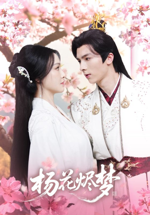 扬花烬梦（68集）短剧中追到爽