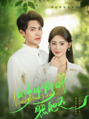 明月何时照他还（73集）最新上映免费看