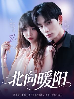 北向暖阳（80集）百度在线观看