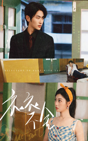 衣衣不舍（63集）红果免费短剧