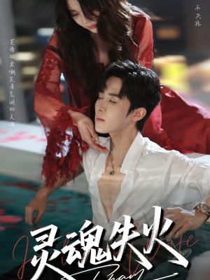 灵魂失火（72集）百度网盘资源