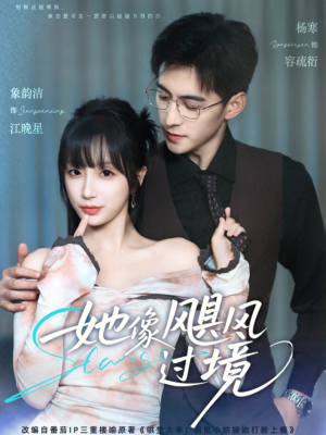 她像飓风过境（81集）全季一次看完