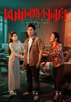 风雨同居不同舟（32集）精彩短剧又来了