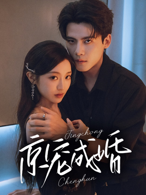 京宠成婚（79集）海量资源免费看