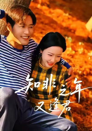 知非之年又逢君（62集）短剧介绍
