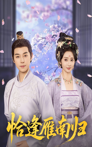 恰逢雁南归（51集）80到100集