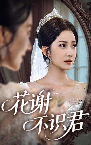 花谢不识君（40集）最近很火的短剧