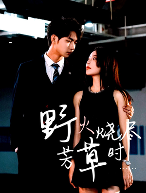 野火烧尽芳草时（65集）好看的短剧电影