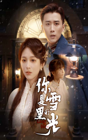 你是雪里的光（64集）免费短剧资源