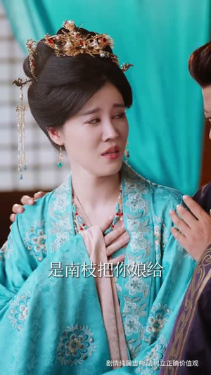 凤鸣向南枝（69集）男主角是谁