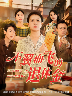 不翼而飞的退休金（63集）在线免费观看
