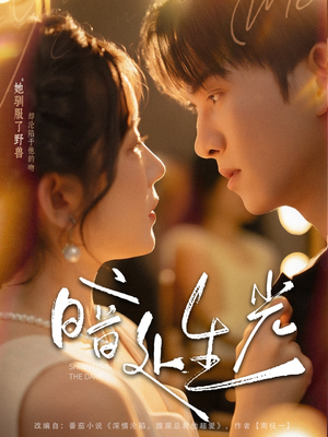 暗处生光（82集）最新热播短剧