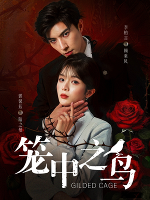 笼中之鸟(70集) 笼中之鸟(70集)免费短剧就是爽