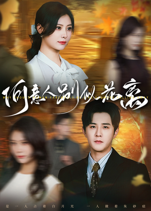 何意人别似花离（61集）火爆热门短剧
