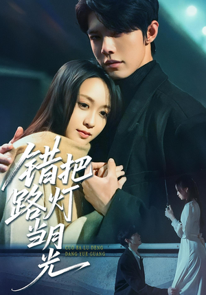 错把路灯当月光（40集）免费在线看全集