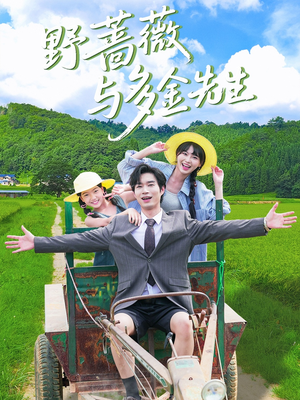 野蔷薇与多金先生（63集）河马免费短剧