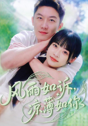 风雨如诉凉薄如你（70集）短剧热门推荐