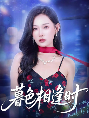 暮色相逢时（70集）全剧免费观看