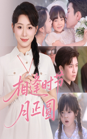 相逢时节月正圆（54集）全集在线看