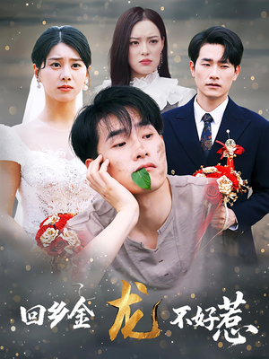 回乡金龙不好惹（74集）在哪个app能看