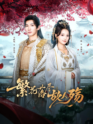 繁花落尽故人殇（70集）零花钱看整部剧