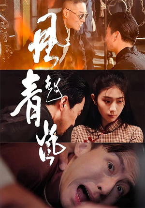 风起青岚（96集）免费看