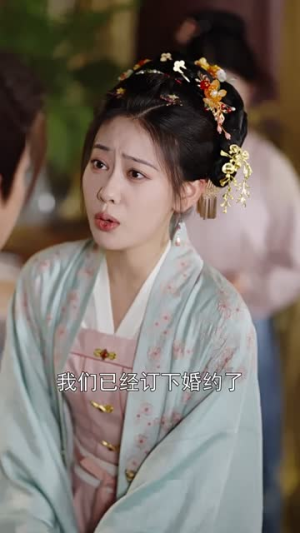 谢他曾误芳华（57集）看到了大结局