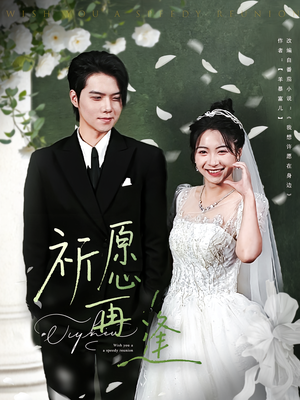 祈愿再逢（80集）80到100集