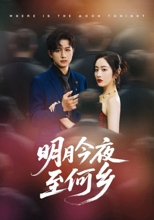 明月今夜至何乡（70集）短剧分享剧集