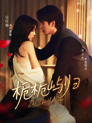 栀栀屿归（80集）精彩短剧热播中