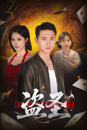 盗圣（63）在哪个平台能看