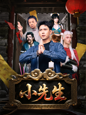 小先生（79集）第一季