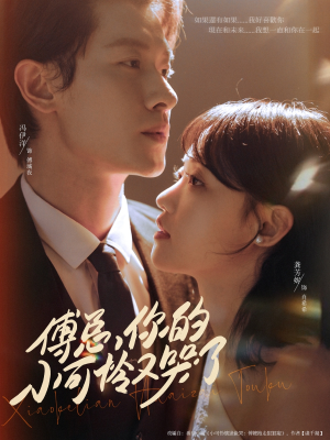 傅总你的小可怜又哭了（80集）超好看的短剧