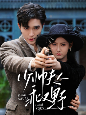 少帅夫人乖又野（84集）怎么看全集