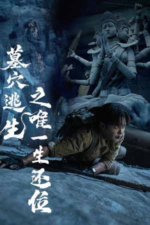 墓穴逃生之唯一生还位（70集）短剧热门分享