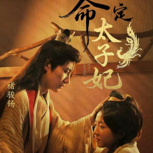 命定太子妃（63集）穿越短剧推荐